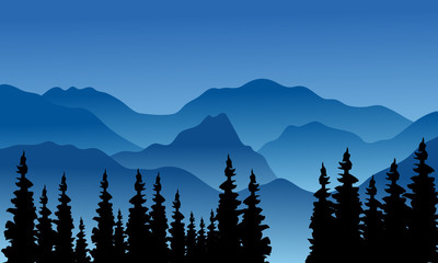 Silhouette of the hills and spruce