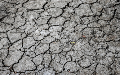 Cracked soil ground