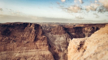 israel desert