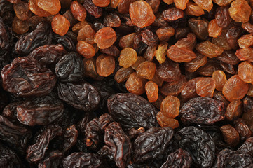 background from berries of raisins