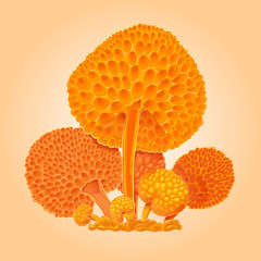 Group of orange fantastic mushrooms. Orange cartoon fungus. Hand