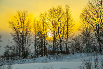 Rural Winter Landscape View
