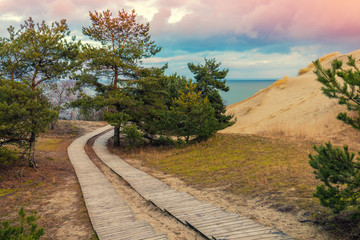 Two wooden pathways in park