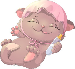 beautiful cat on a white background