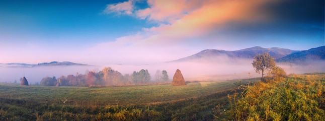 Misty autumn valley