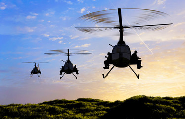 The helicopters