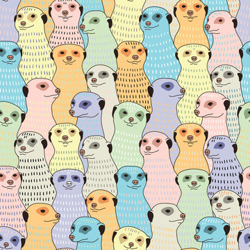 Fototapeta Meerkats seamless pattern