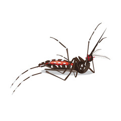 illustration. mosquito