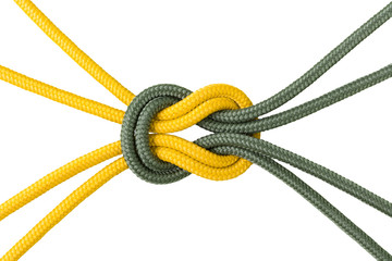 Different ropes tied isolate on white with clipping path