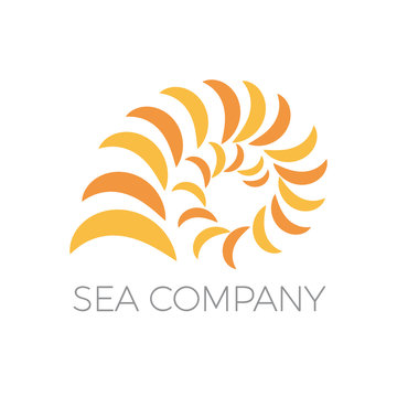 Vector seashell in abstract shape
