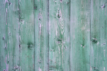 Texture of old green wooden planks background