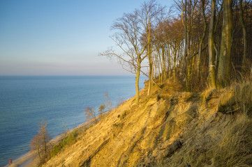 Klif  morski w Wolińskim Parku Narodowym,Bałtyk,Polska
