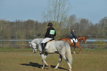 équitation