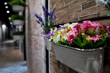 flower in flower pod hang on brick wall