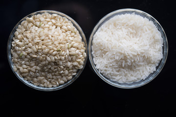 rice bowl