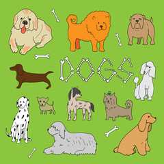 Dogs. Doodle set in vector isolated on a green background.