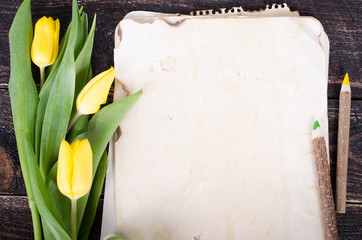 Vintage paper, pencils and yellow tulips on wooden background. Free space for your text.