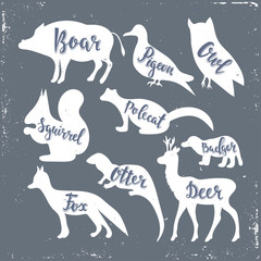 Wild animals silhouettes with lettering: boar, pigeon, owl, squirrel, polecat, badger, otter, fox, deer. Vector Illustration