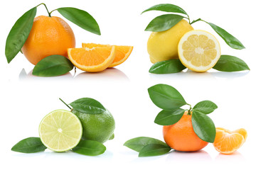 Collage Orangen Zitrone Mandarine Früchte Freisteller freigeste