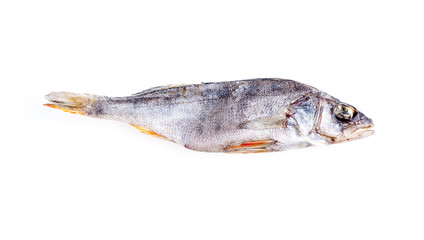 dried fish isolated on a white background