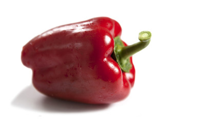 poivron &eacute;clatant bio