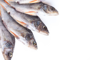 dried fish isolated on a white background