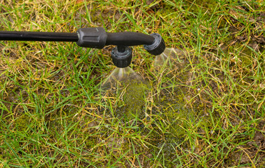 Herbicide spraying on grass against moss