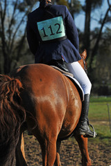 équitation