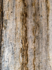 Fototapeta premium Alte Bretterwand, Hintergrund