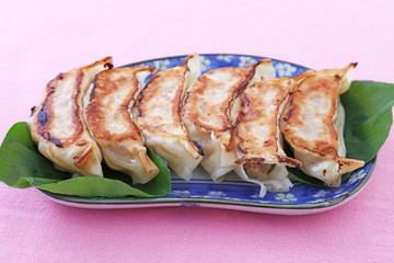 おいしそうな焼き餃子