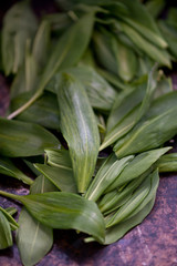 Wild young green garlic leaves 