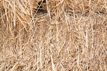 straw background.