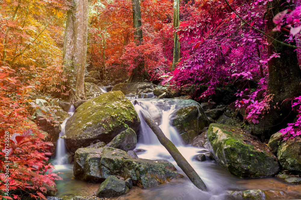 Wall mural waterfall in deep rain forest jungle (krok e dok waterfall sarab