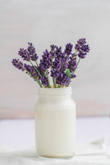 Bouquet of fresh lavender in a white vase