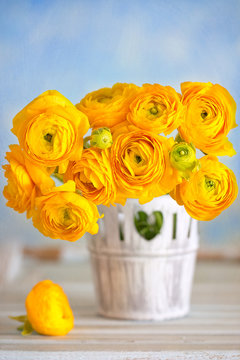 Beautiful bouquet of flowers.Yellow ranunculus flowers close-up in a vase on the table.