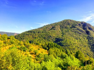Obraz premium Mountain forests