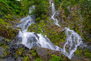 Obraz premium Waterfall in deep rain forest jungle (Krok E Dok Waterfall Sarab