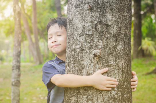 Young Asian Boy Hugging Tree In Forest