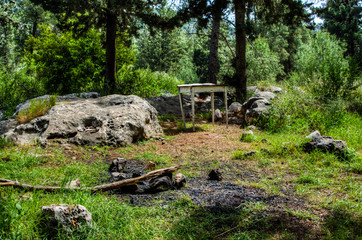 In the forest, after touristy gone