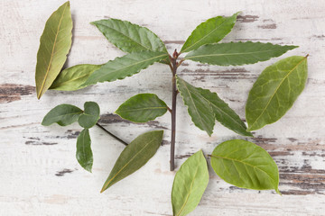 Bay leaves on white wooden background.