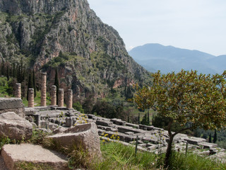 Fototapeta na wymiar Temple of Apollo, Delphi, Greece, Europe