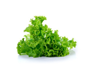 Fresh green lettuce on white background