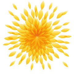 Naklejka na ściany i meble Vector yellow flower in abstract shape. Spring concept