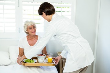 Female caregiver serving breakfast to senior woman