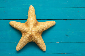 starfish on blue wooden boards