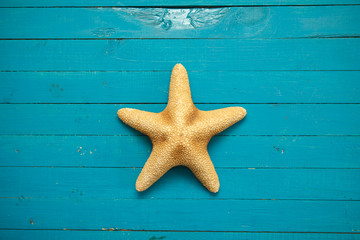 starfish on blue wooden boards