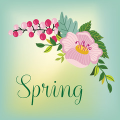 Flowers isolated vector on colorful background. Cute illustration.