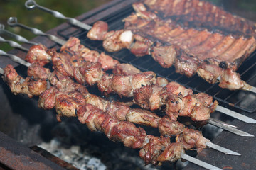 meat skewers on the barbecue coals
