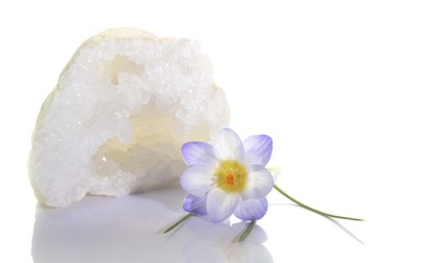 Crocus flower and quartz geode