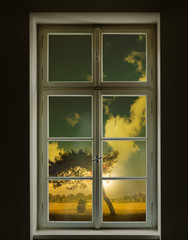Classic white window and view of a tree outside with sunset